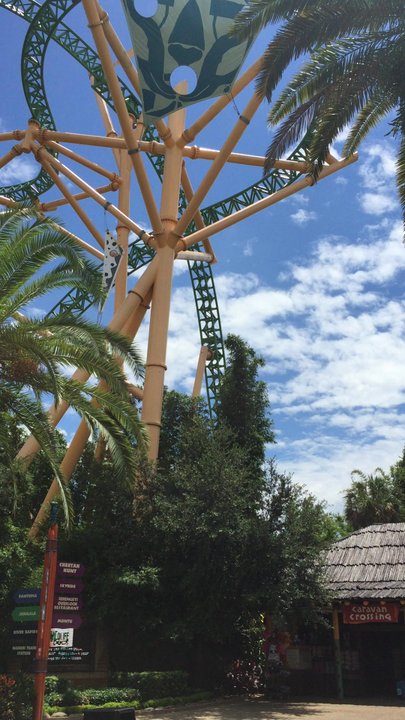 Cheetah Hunt - Amusement Parks Near Me - Tampa, Florida