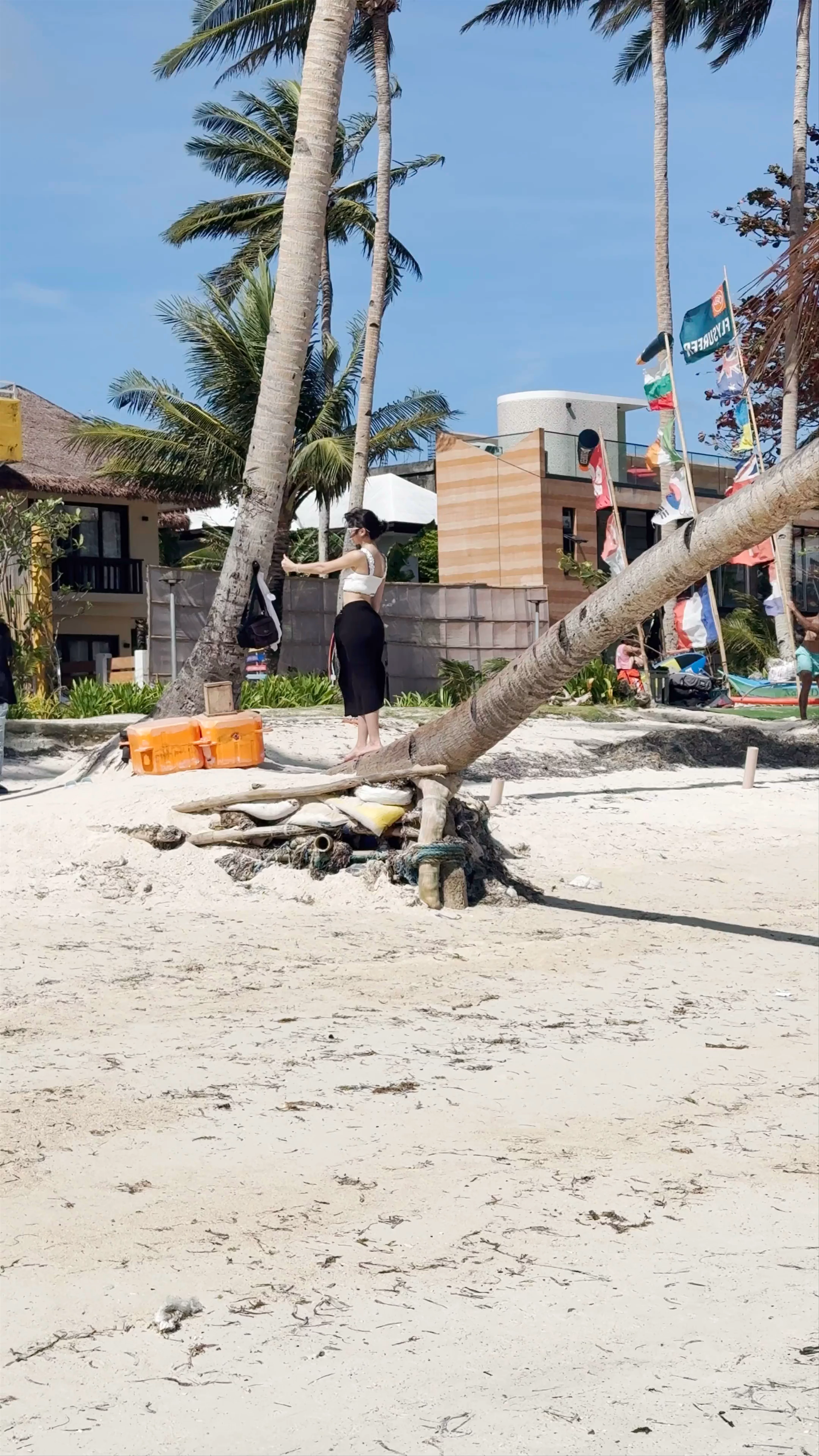 Leaning Coconut Tree, Malay Beach