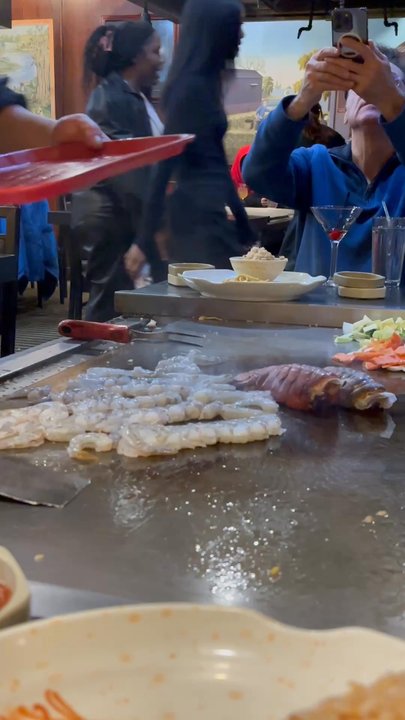 Shogun Hibachi - Fish swimming - Japanese Near Me - Forest Hills, New York