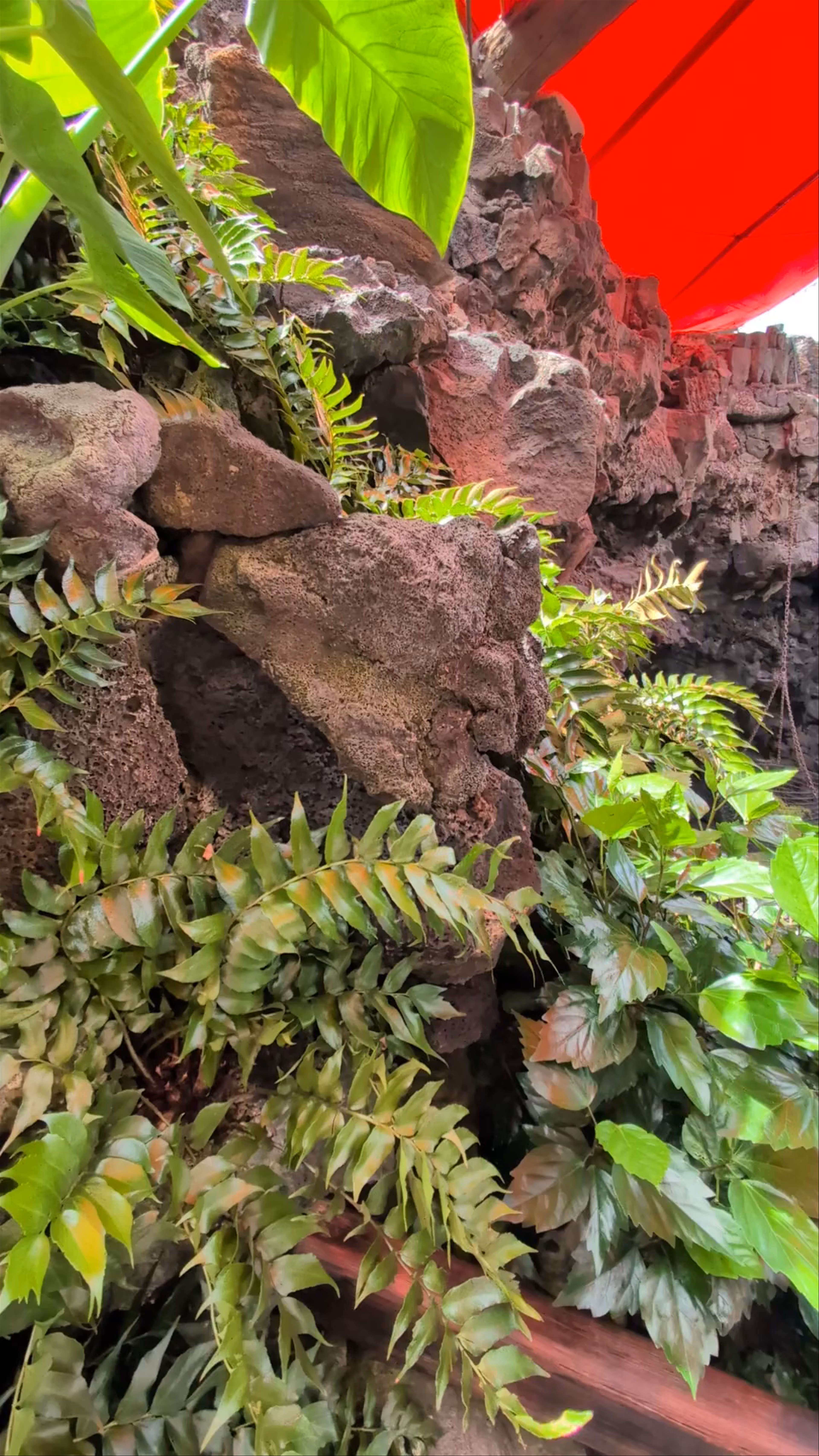 Jameos del Agua: The Magical Volcanic Oasis in Punta Mujeres