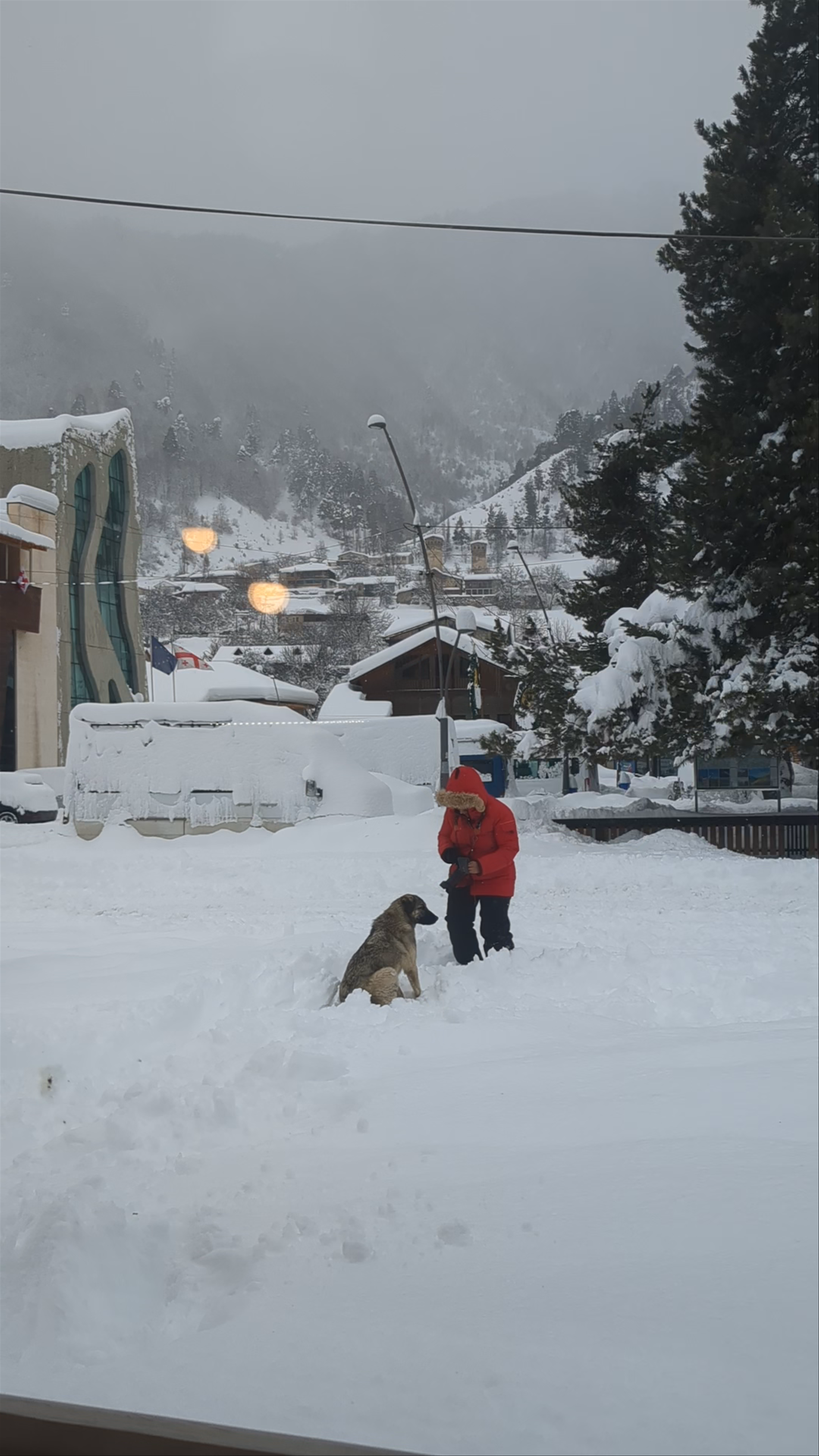 ERTI KAVA Mestia specialty coffee