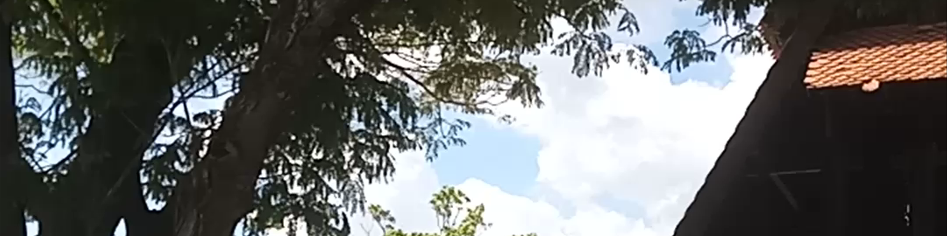 Kuah