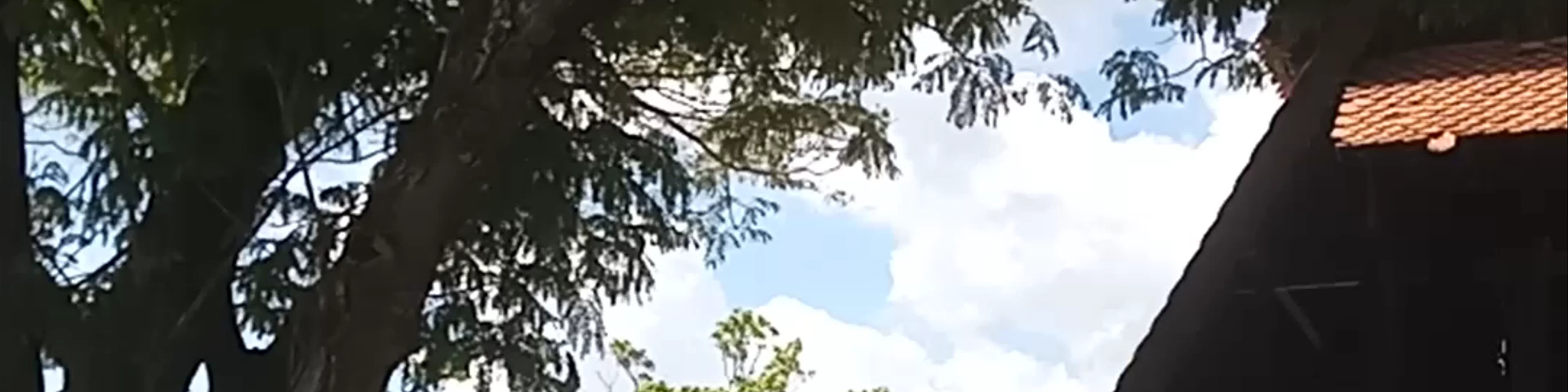 Legenda Park