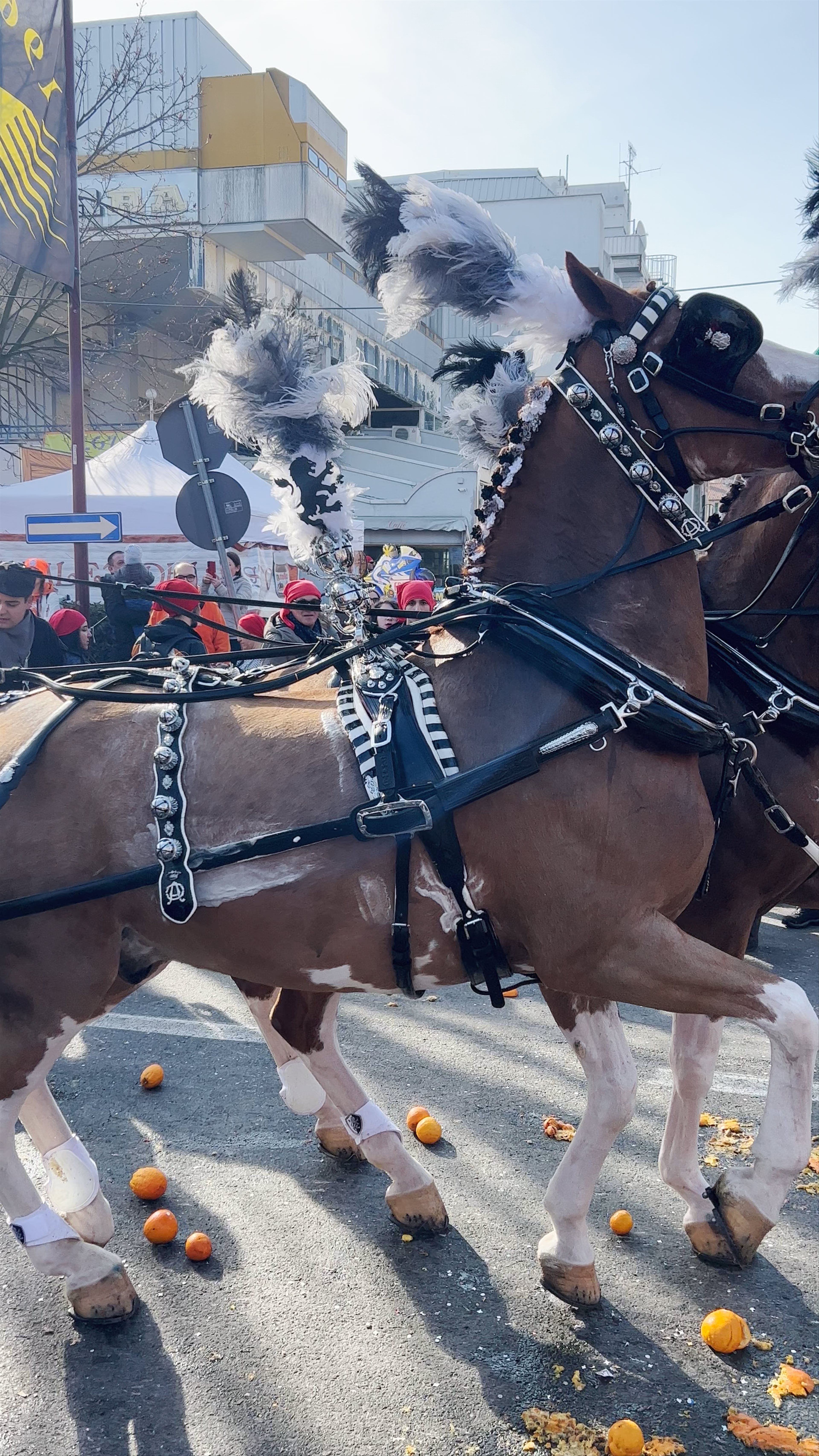 Ivrea - Ufficio del Turismo