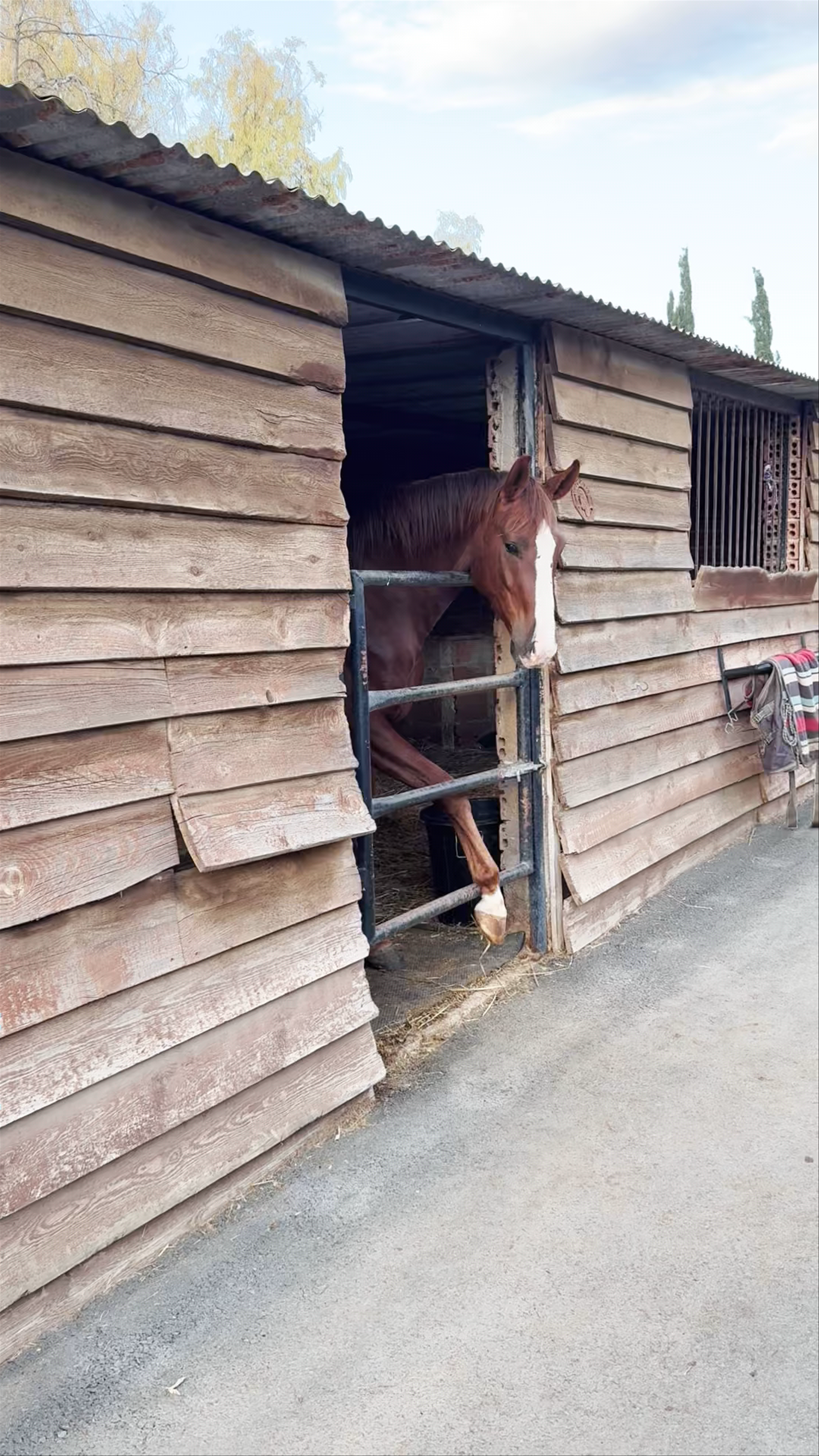 Georges Ranch Riding Stables