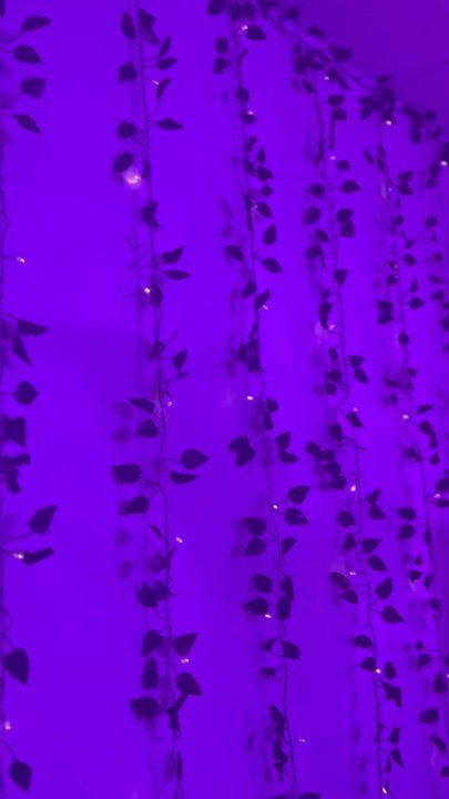 LX Aesthetics - Skin Care Near Me - Tucson, Arizona