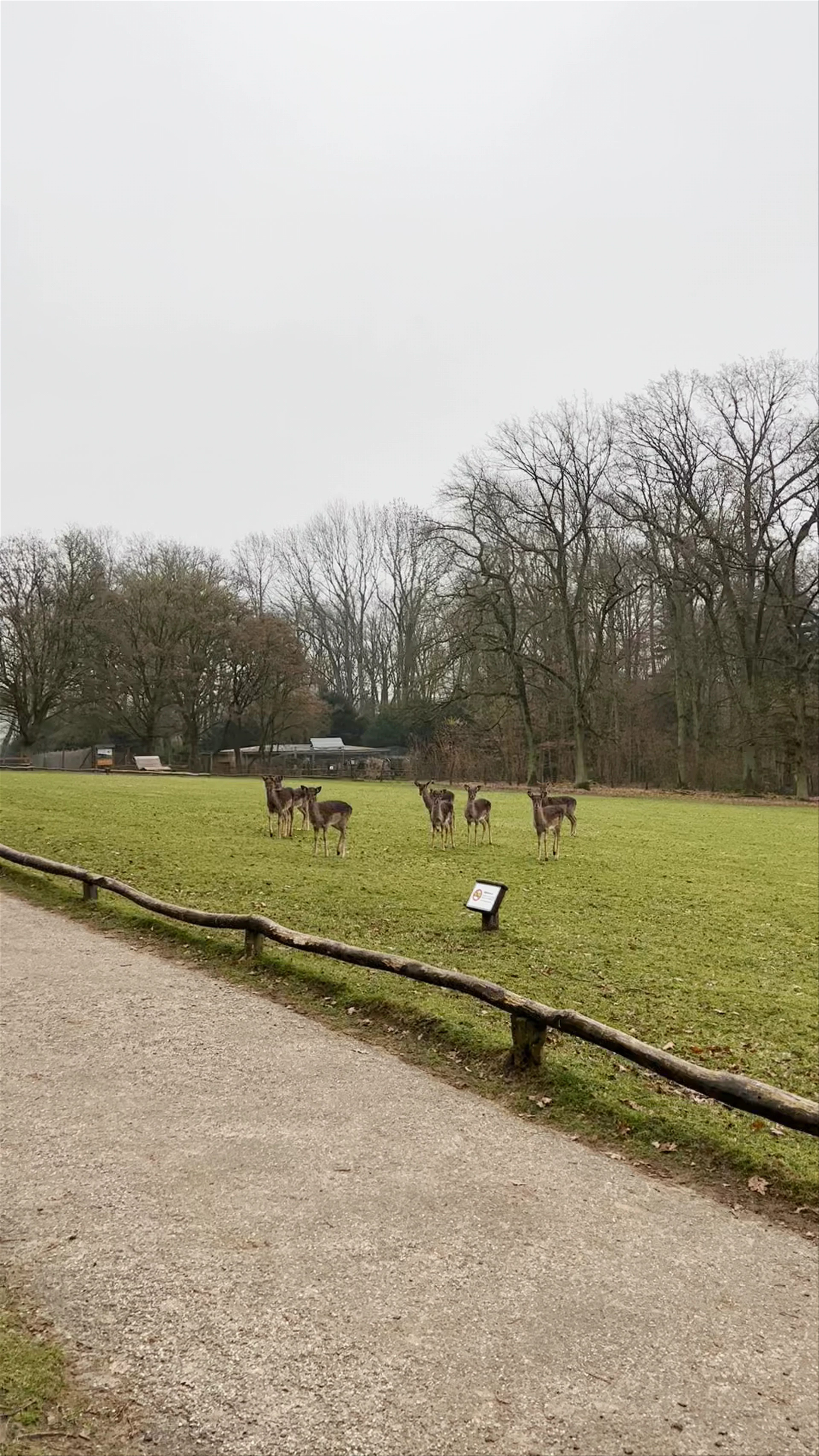 Wildpark Grafenberger Wald