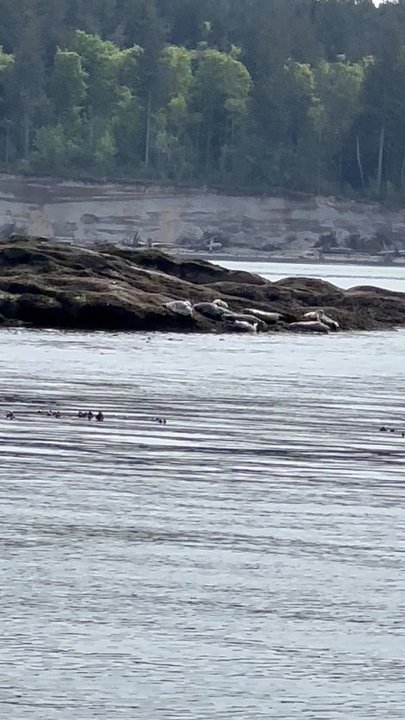 Deer Harbor Charters - Who knew?!!!! - Boating Near Me - Eastsound, Washington