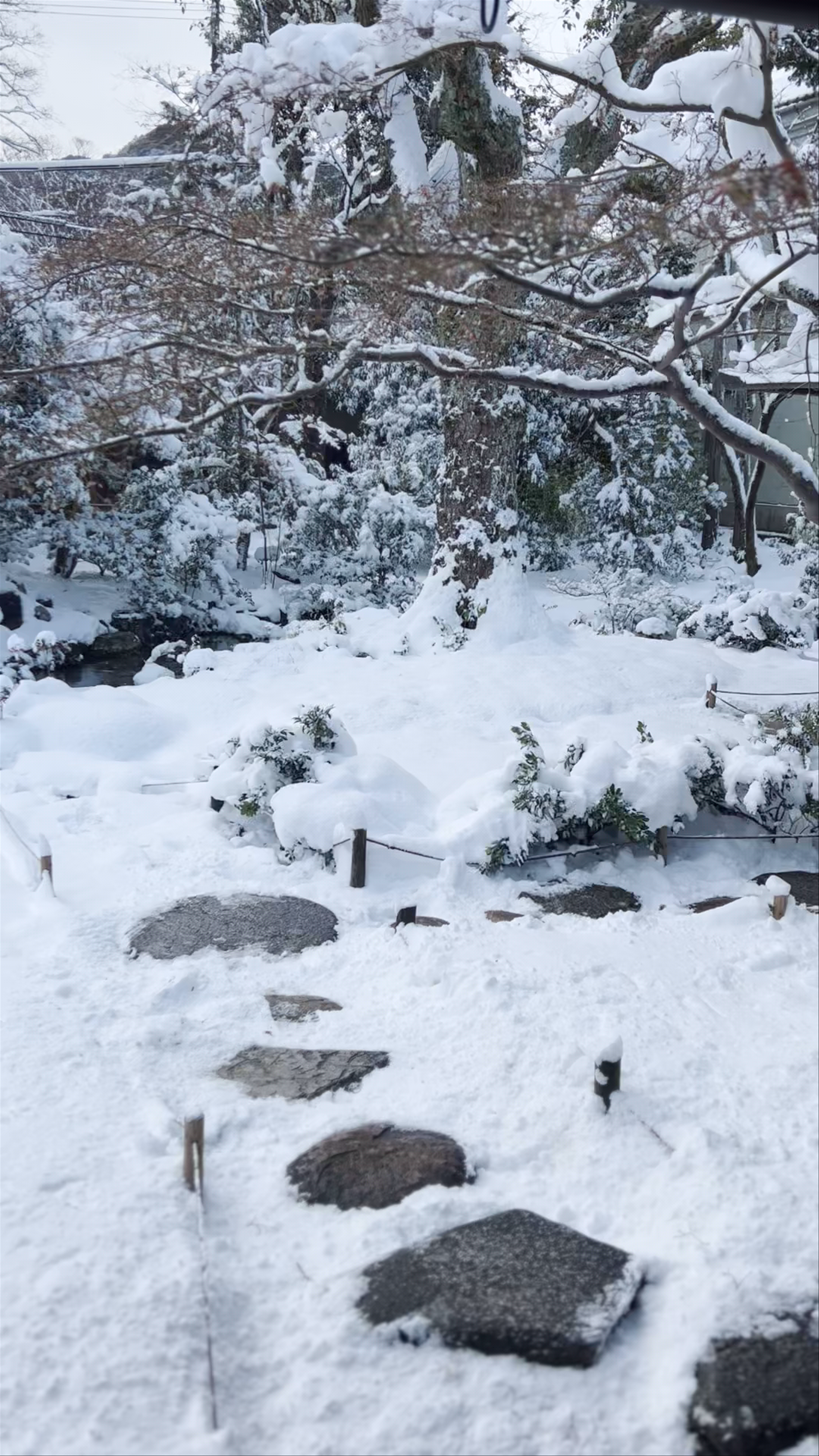 Winter Serenity at Murin-an Garden, Kyoto