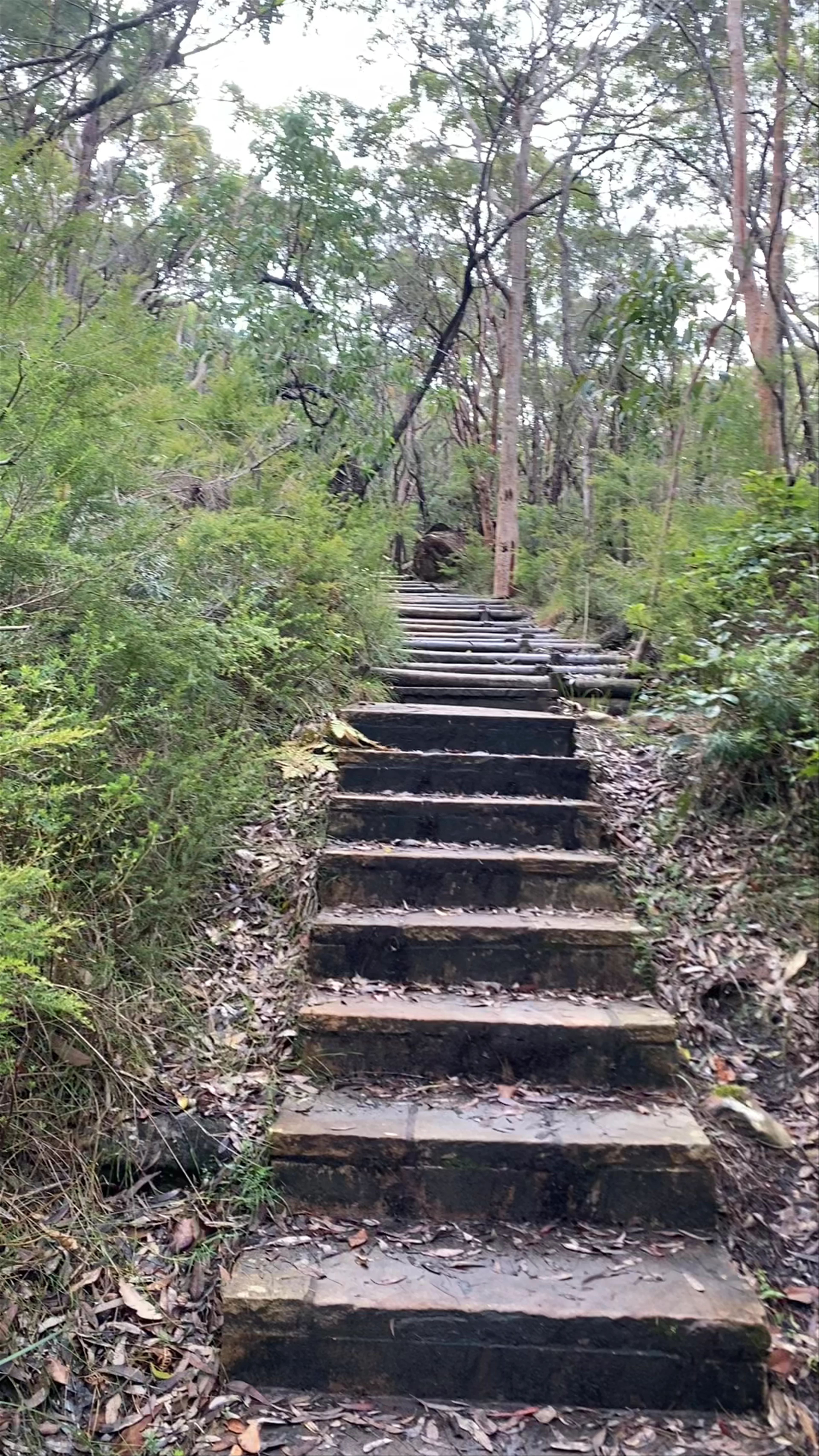 Maitland Bay Track