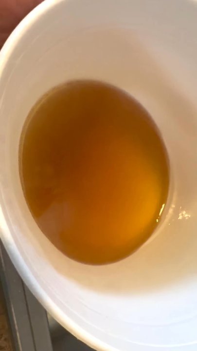Asian Pho - Layers and layers of disgusting oil in what's supposed to be broth. - Vietnamese Near Me - Reno, Nevada