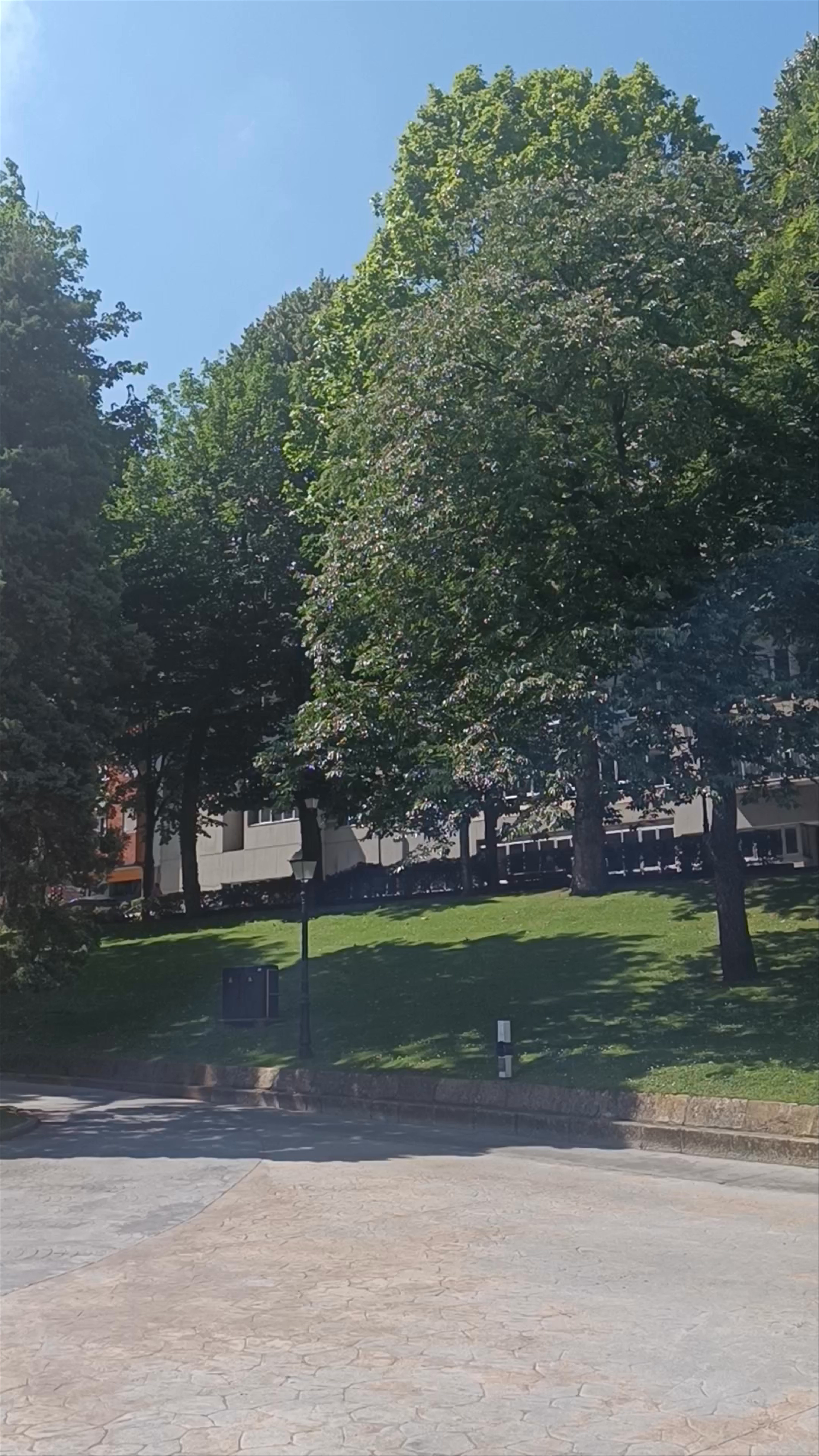 Serene Summer Stroll at Campo de San Francisco, Oviedo