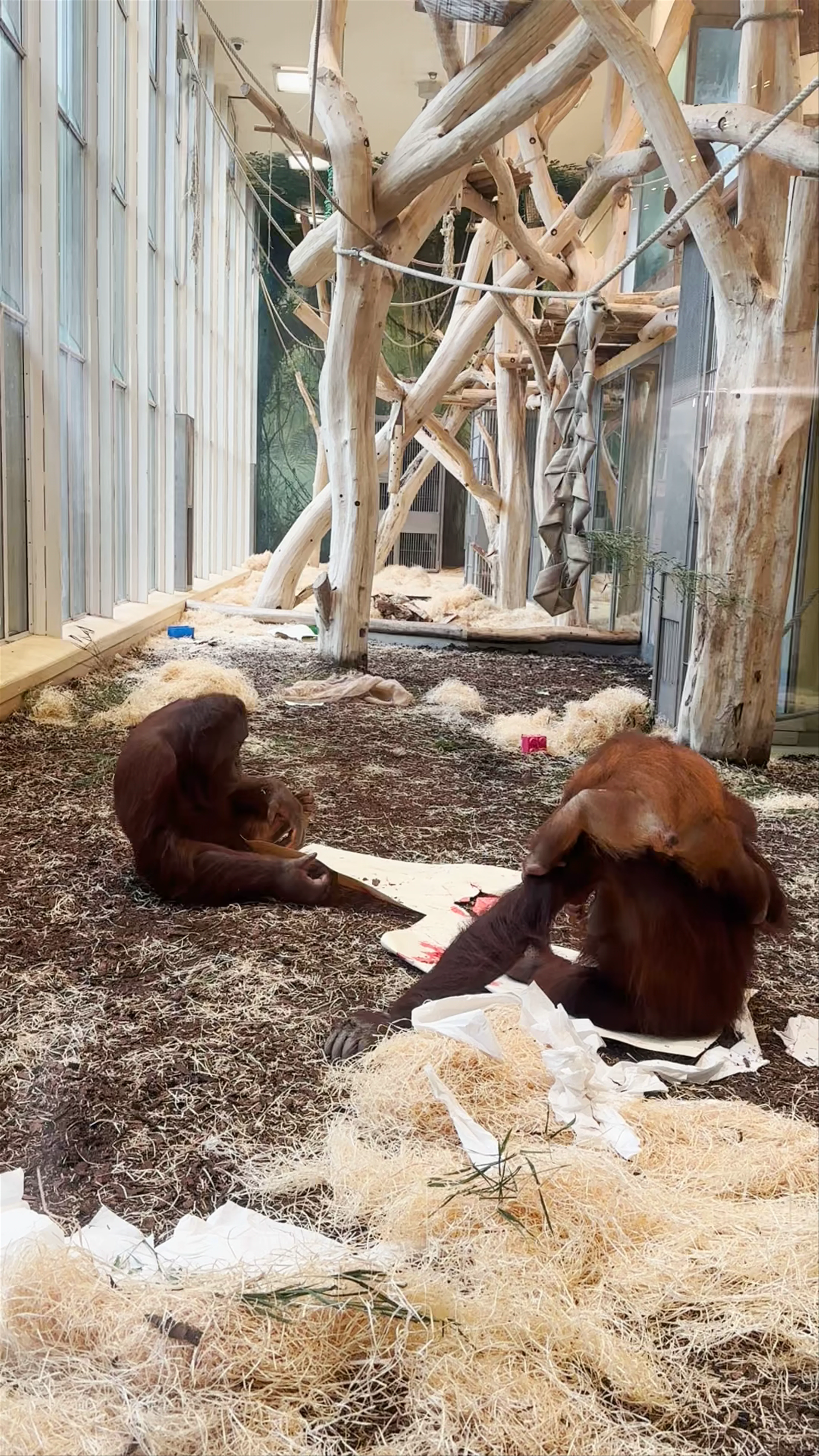 Schönbrunn Zoo