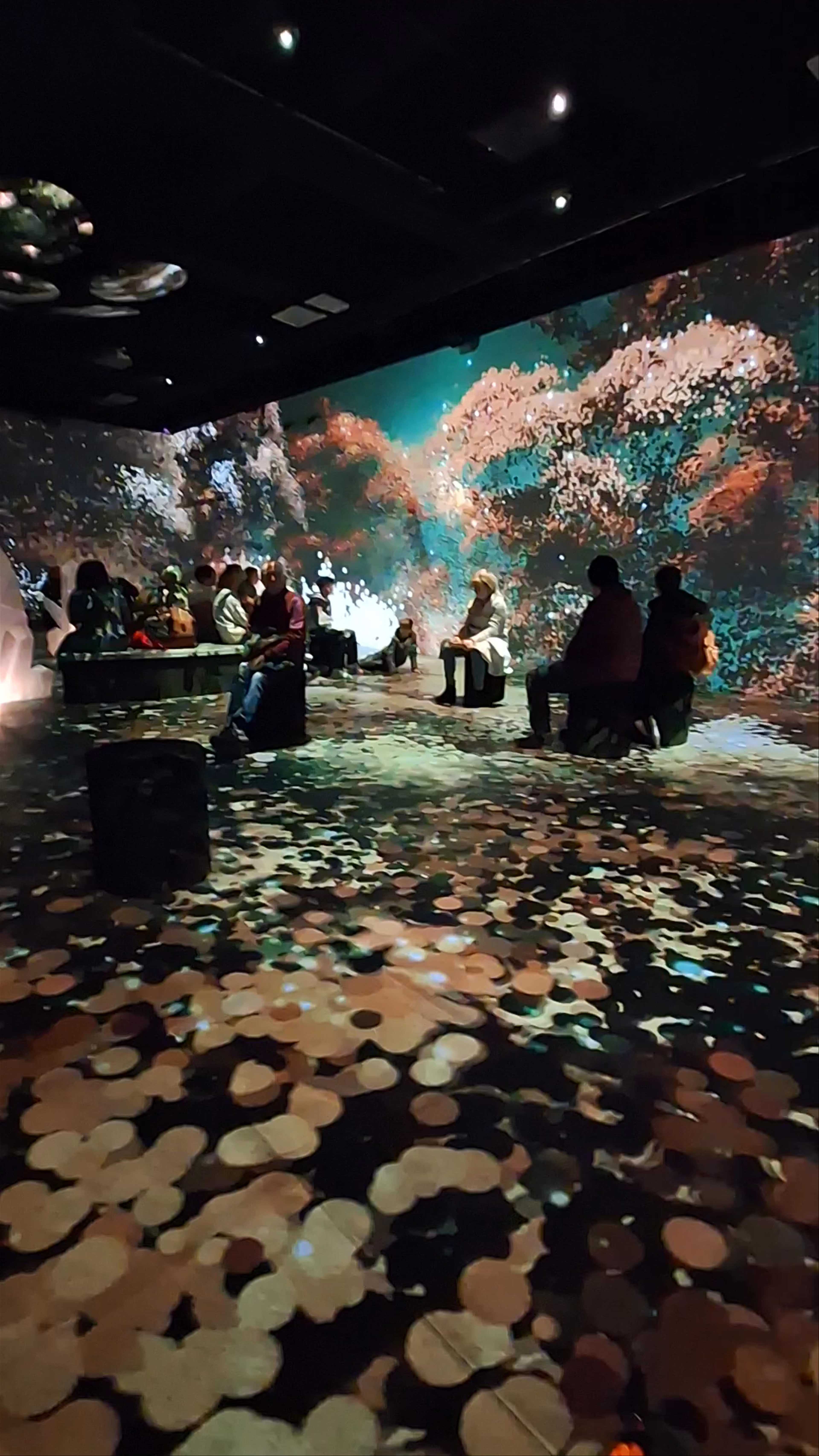 Immersive Digital Art Experience at OASIS, Montreal