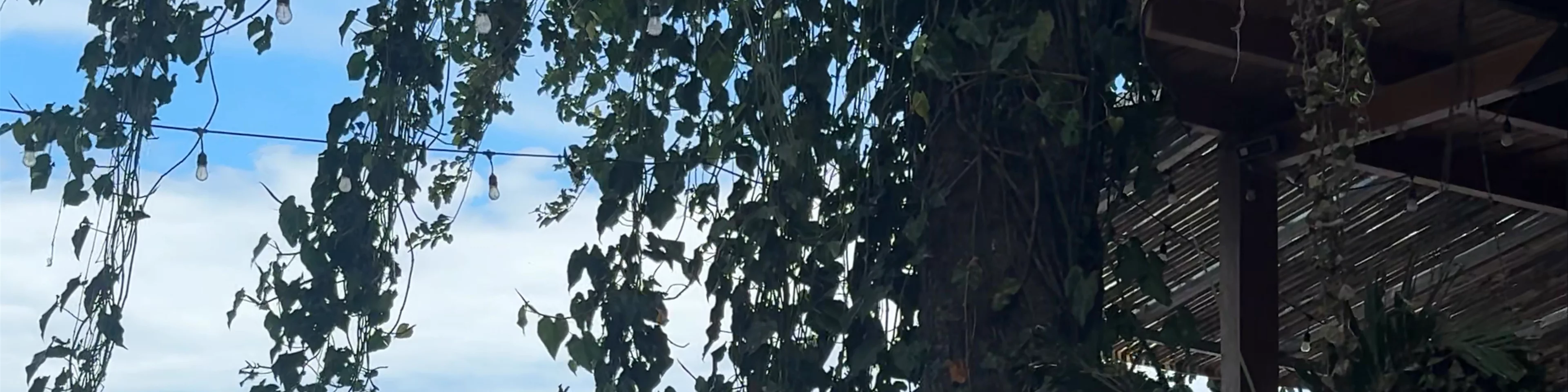El Pital Ometepe