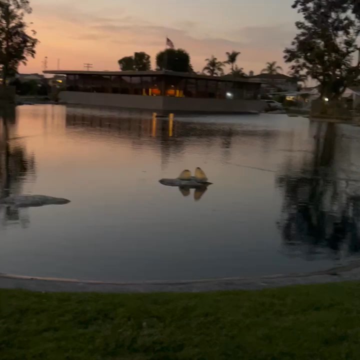 Lake Park Communities - Mobile Home Dealers Near Me