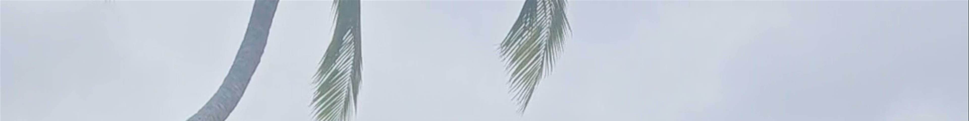 Tours & experiences in Aitutaki