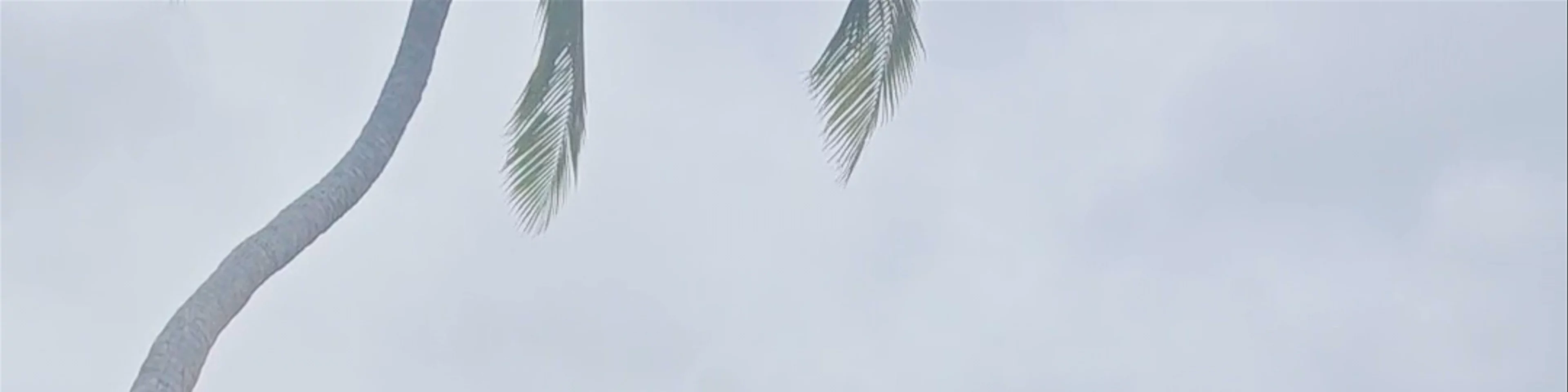 Resort Tava'e - Restaurant & Bar