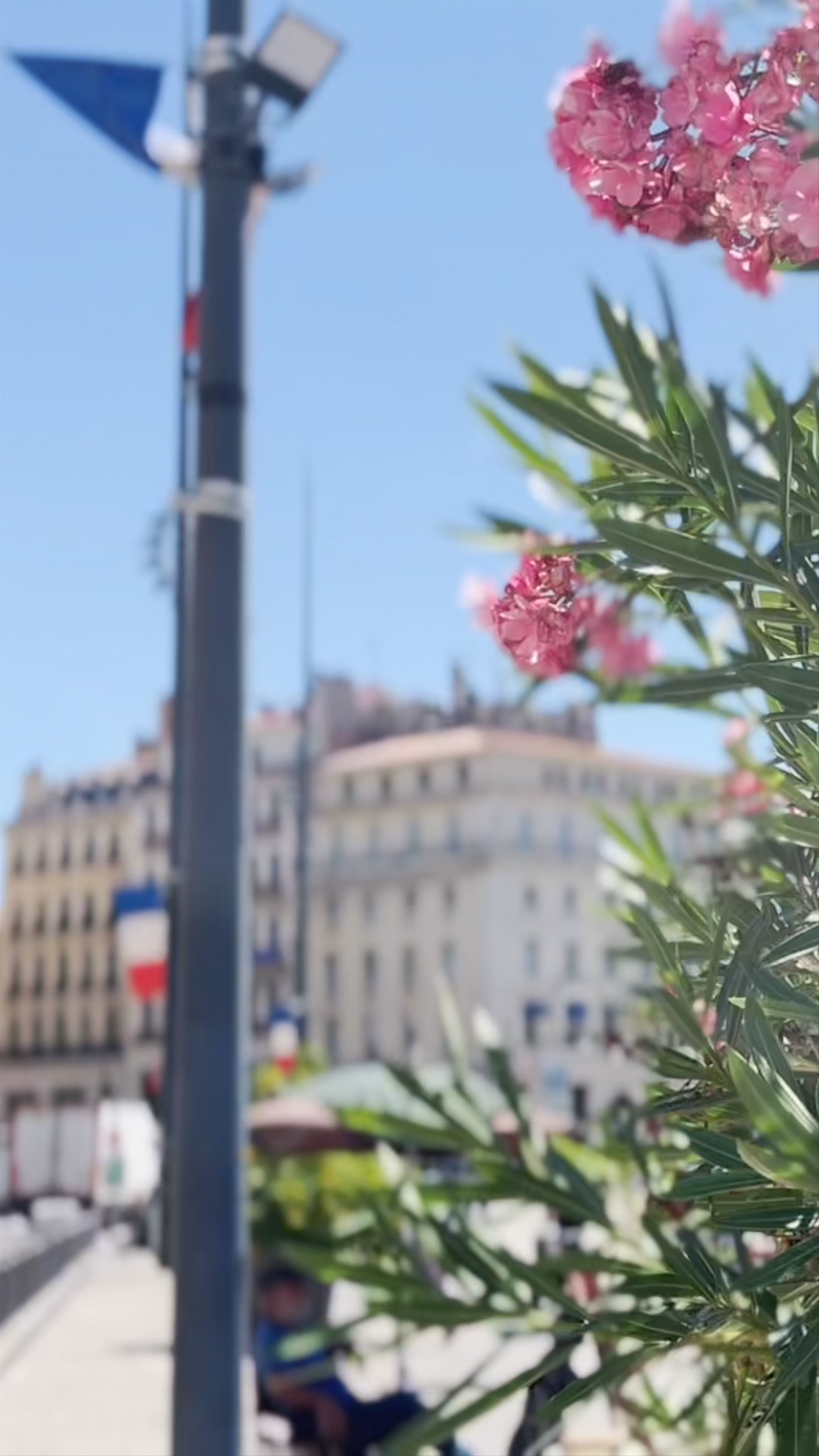 Sunlit Urban Charm at Quai du Port, Marseille