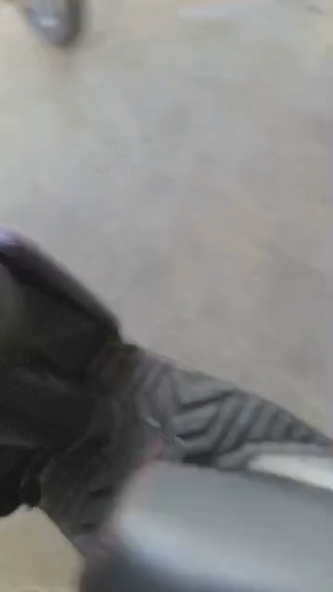 Walk-around video thumbnail