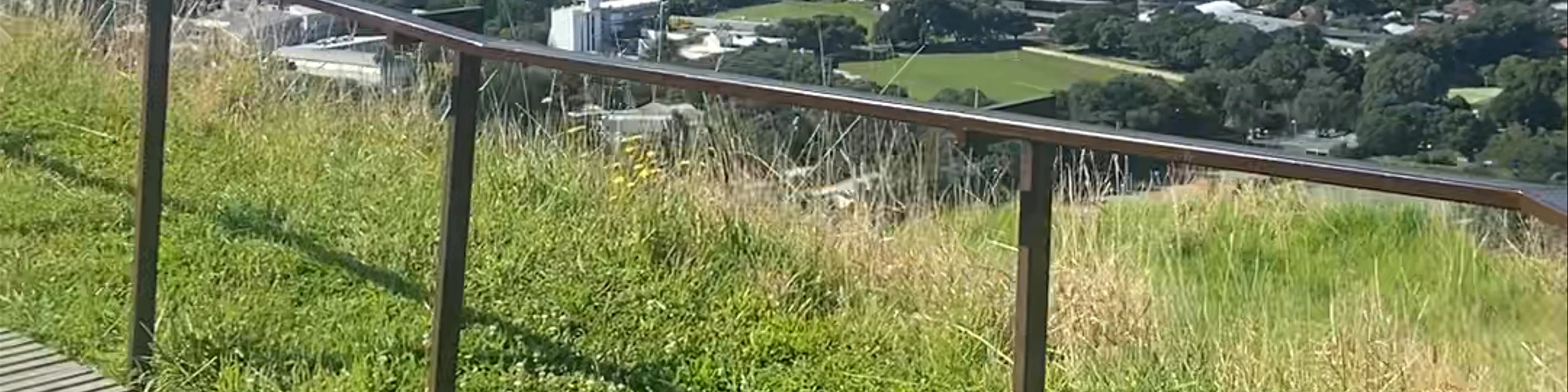 Mount Eden Summit