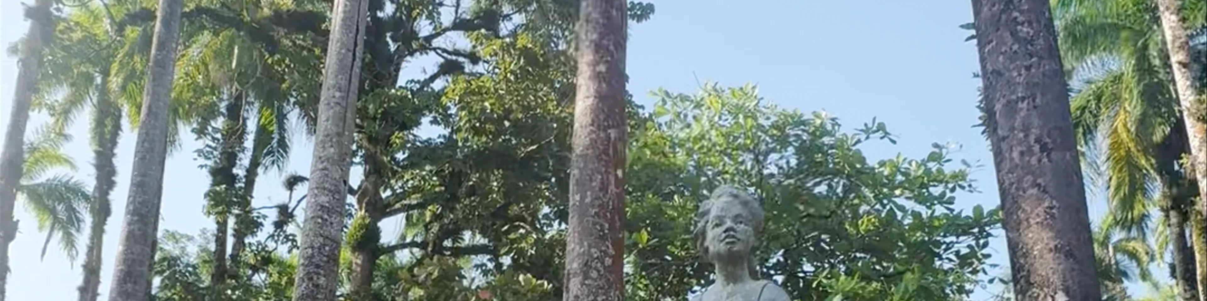 Parque Vargas