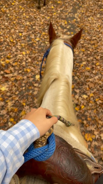 Top View Riding Ranch - Horseback Riding Near Me - Blairstown, New Jersey