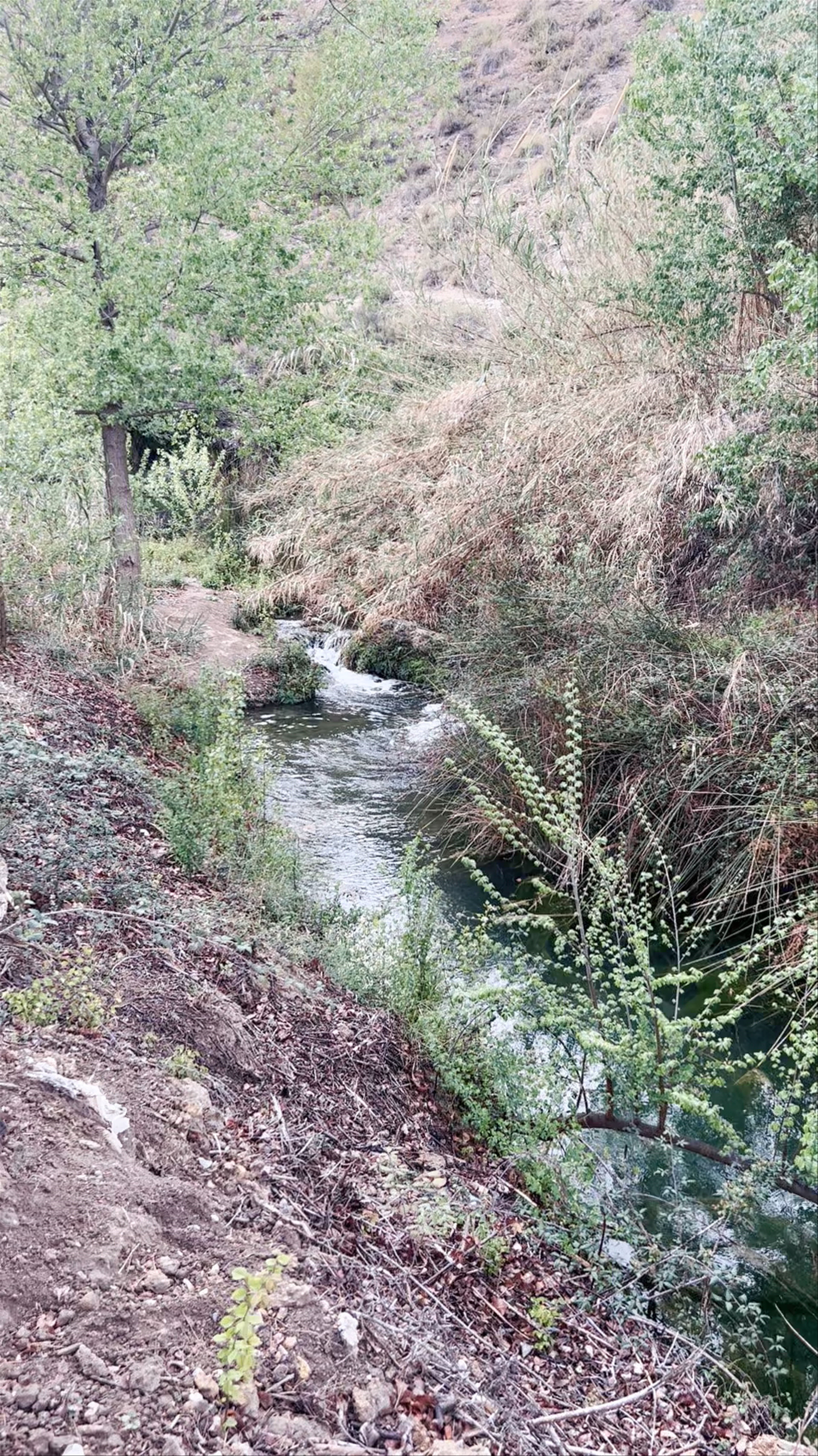Tranquil Streamside Walk in Pasico Ucenda, Bullas