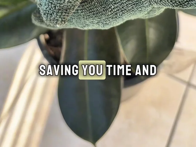 Plant Care