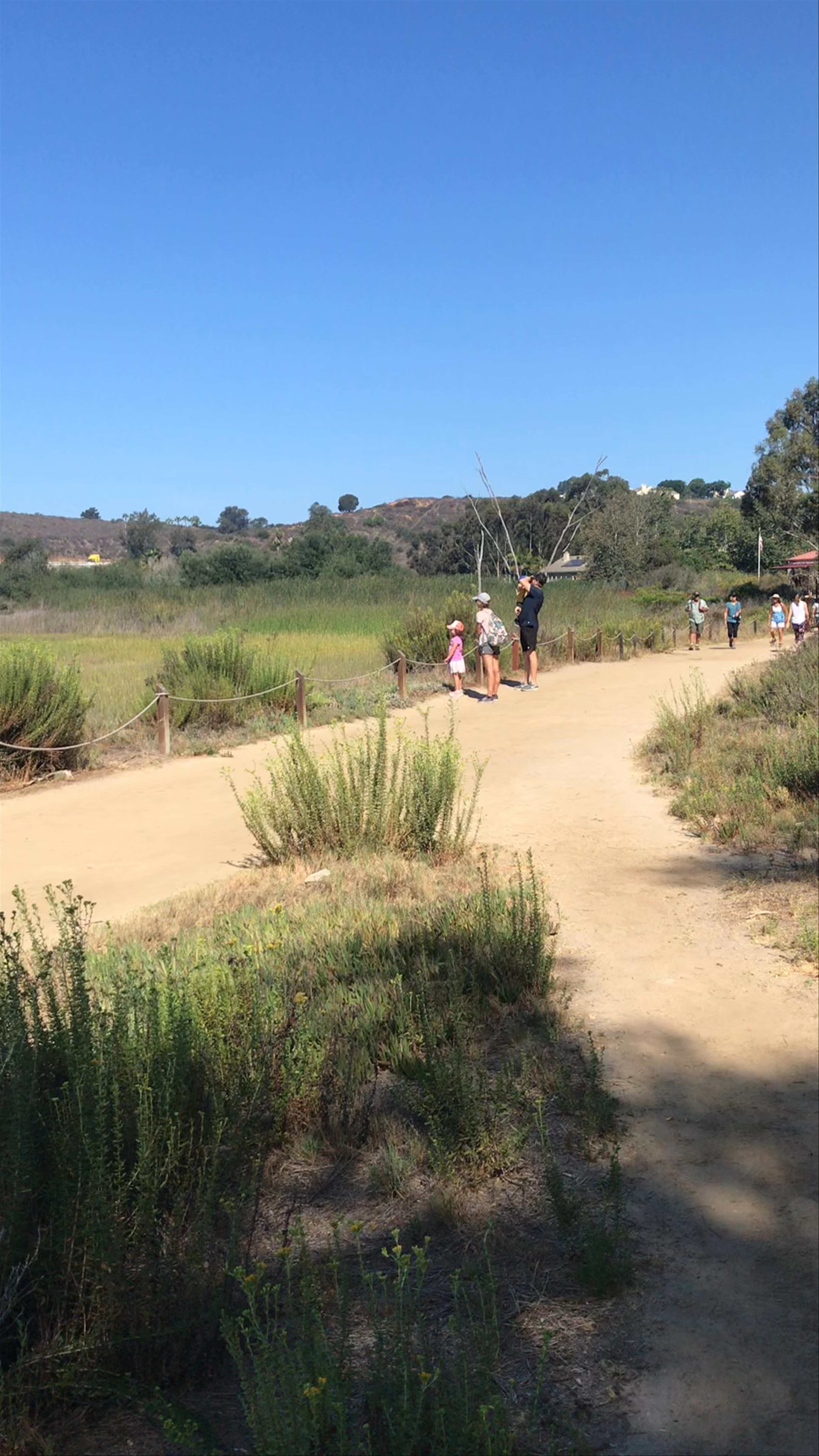 Batiquitos Lagoon: A Serene Nature Escape in California