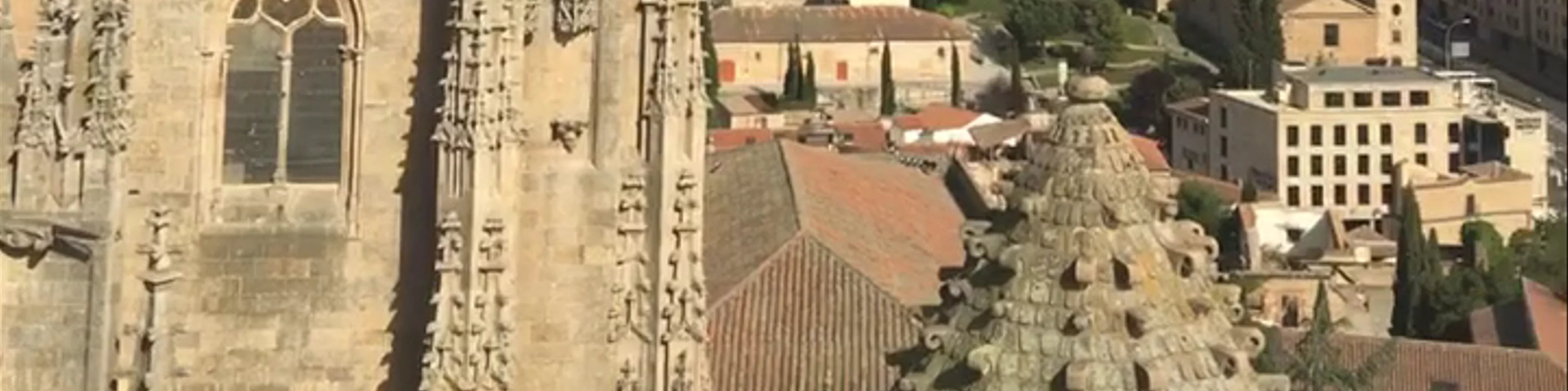 Salamanca Cathedral