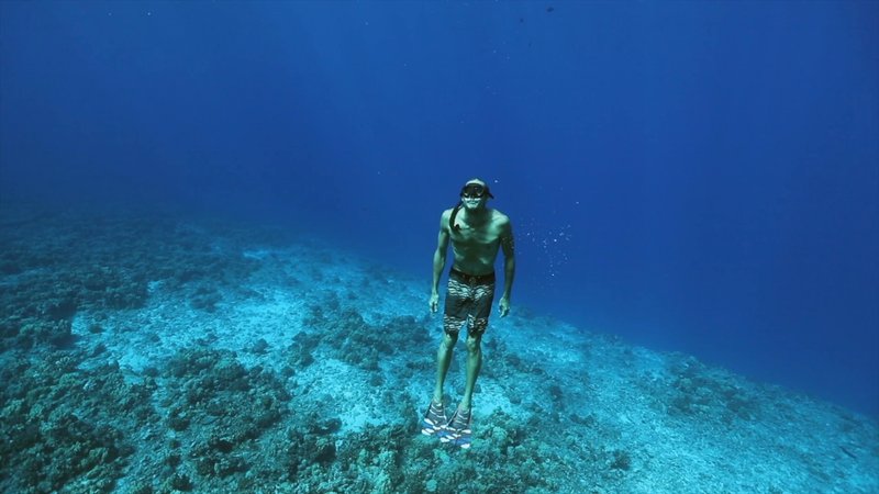 Free Diver poster