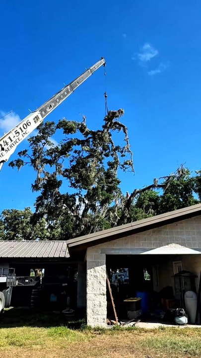 All Your Way Tree Service - (813) 650-4018  24/7 Emergency Services AllYourWayTreeServiceFl.com - Tree Services Near Me - Seffner, Florida