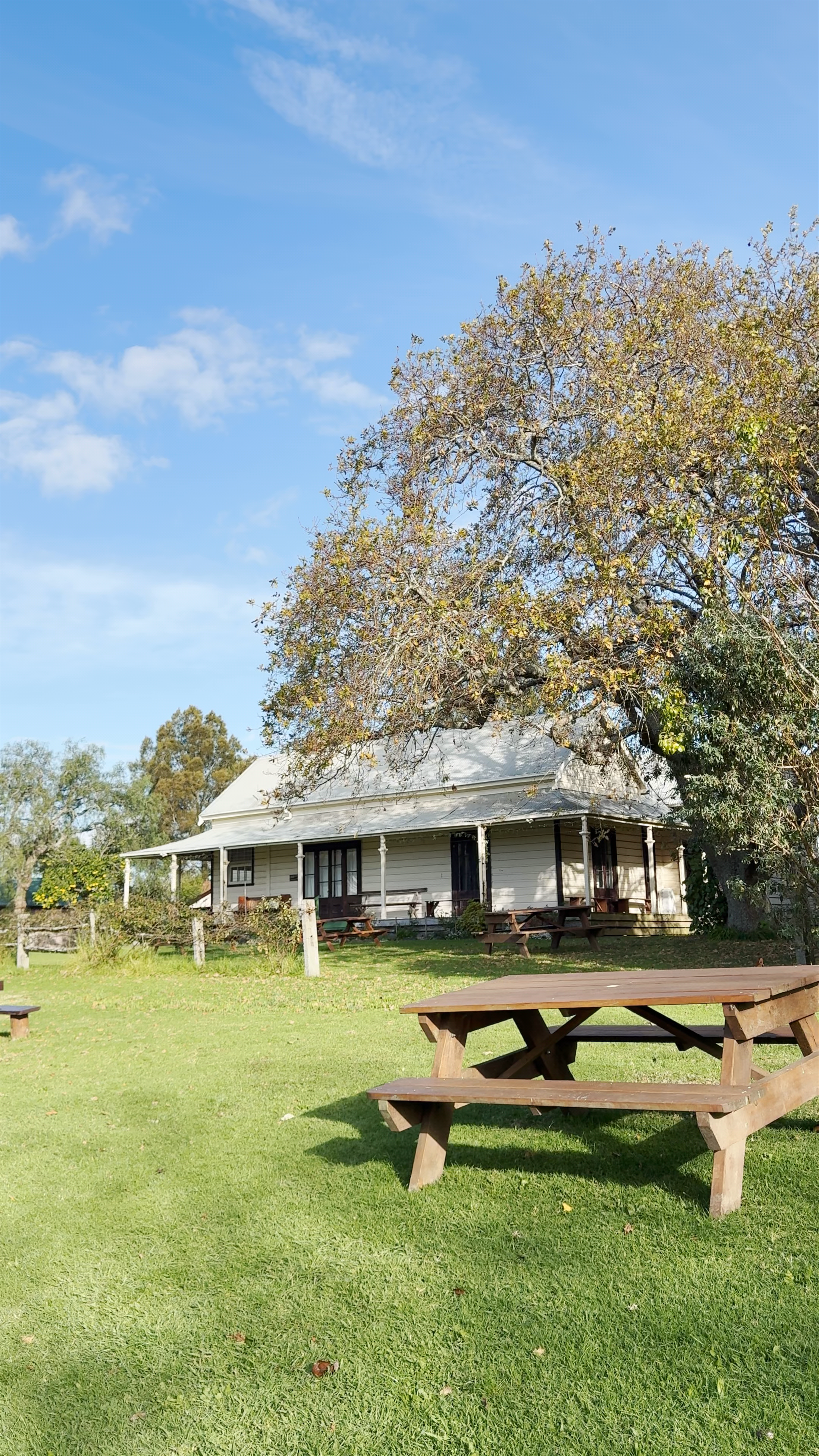 Howick Historical Village: Step Back Into Colonial Auckland Life
