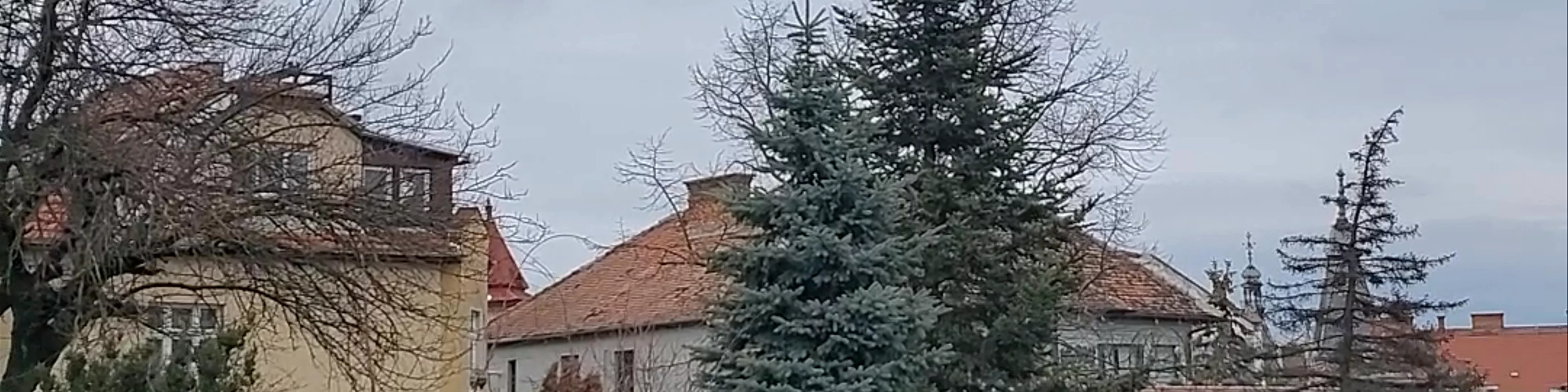 Parcul Cetățuia