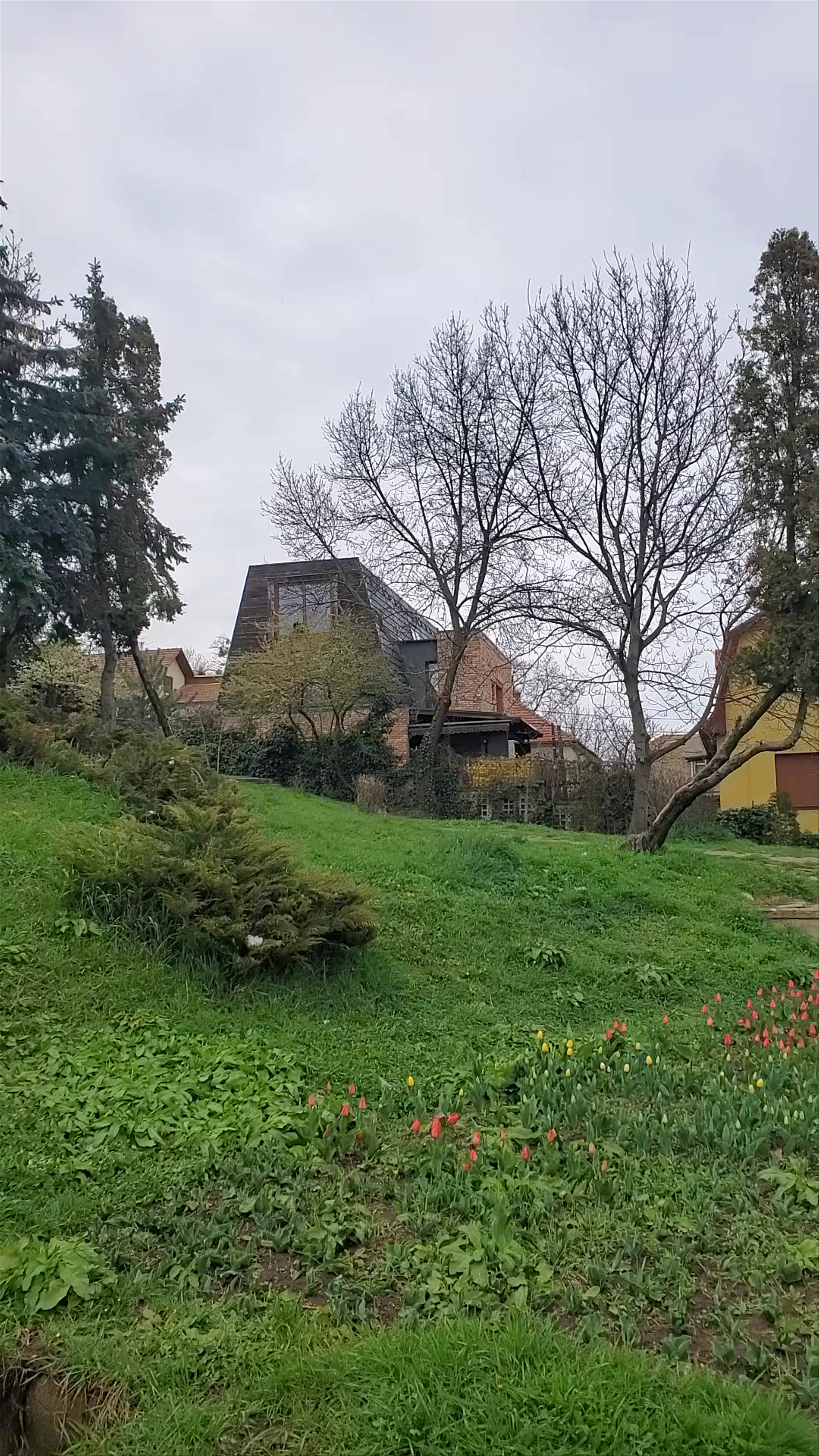 Parcul Cetățuia