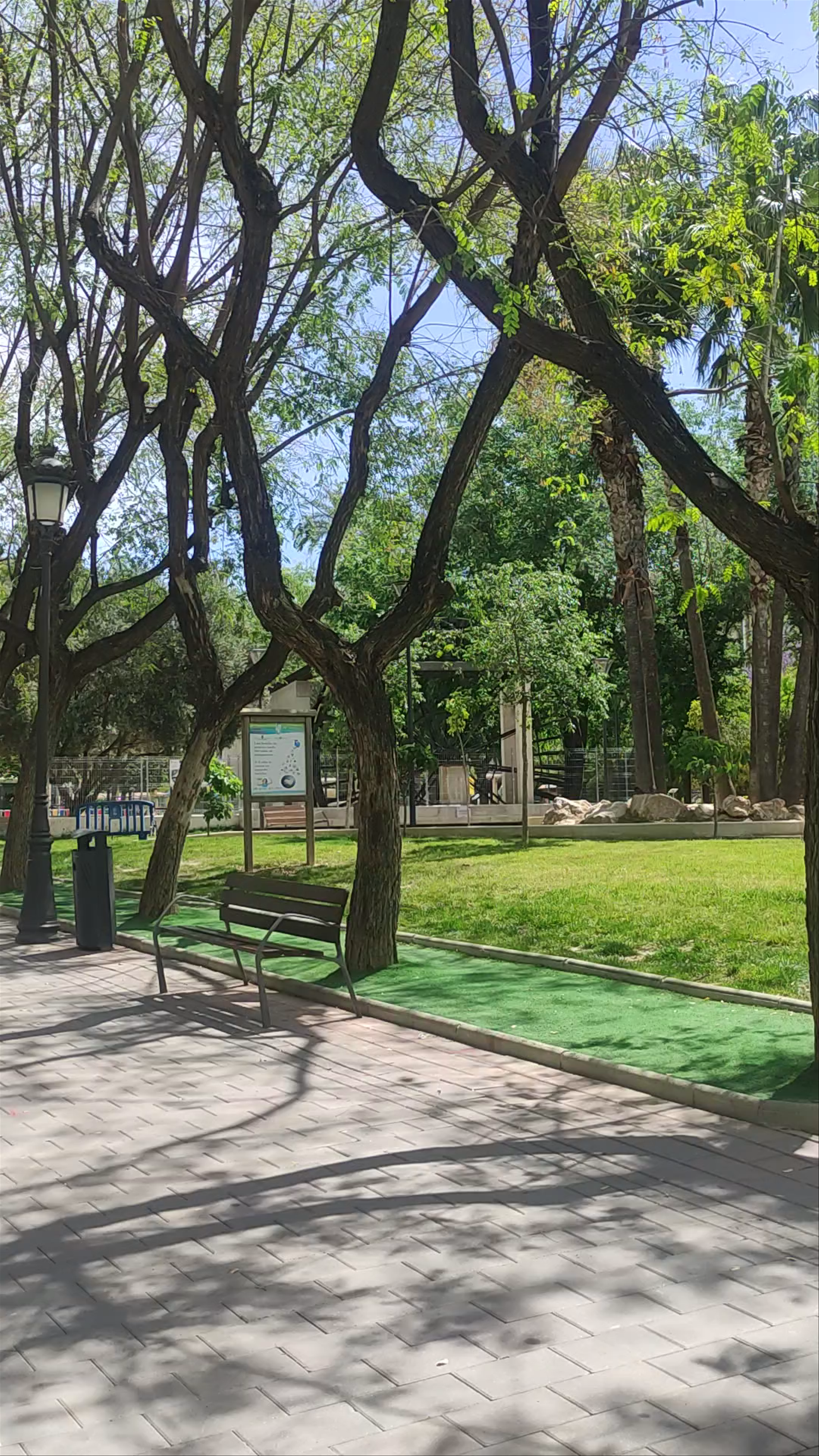 Parque de La Compañía: A Serene Urban Oasis in Molina de Segura