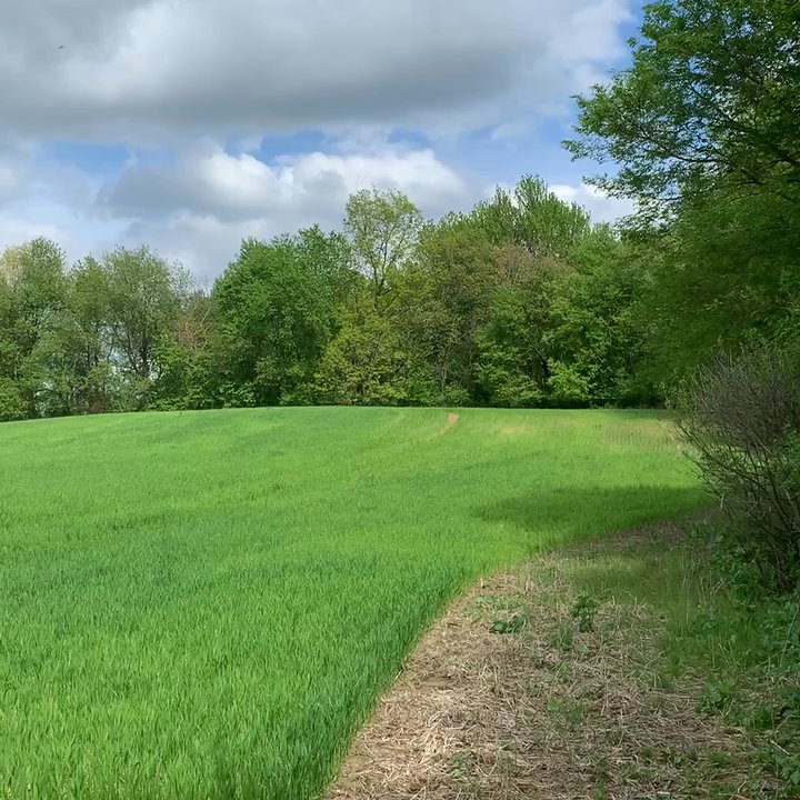 Michigan Wildlife Conservancy - Venues & Event Spaces Near Me - Bath, Michigan