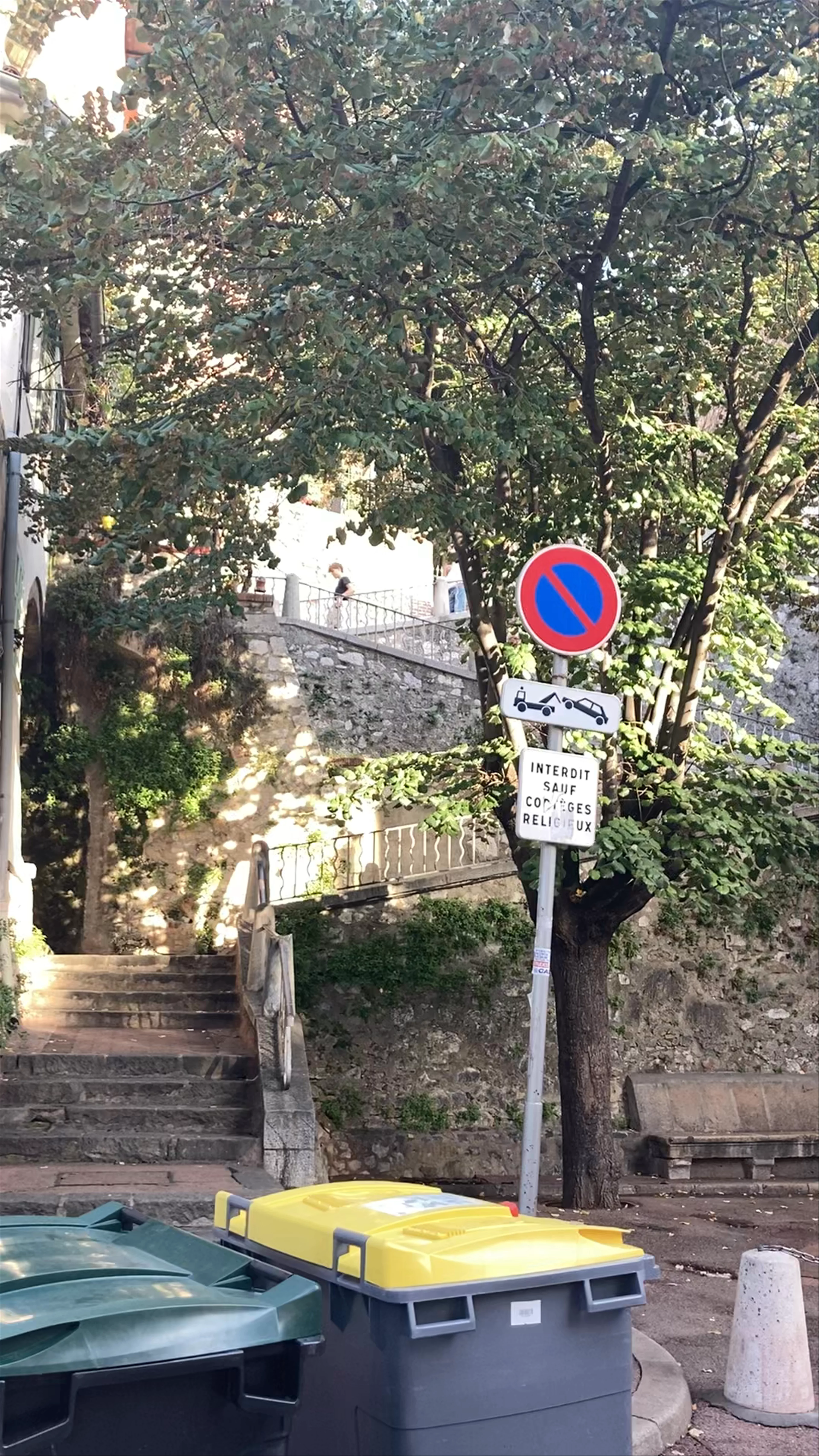 Fraternité Saint Pie X