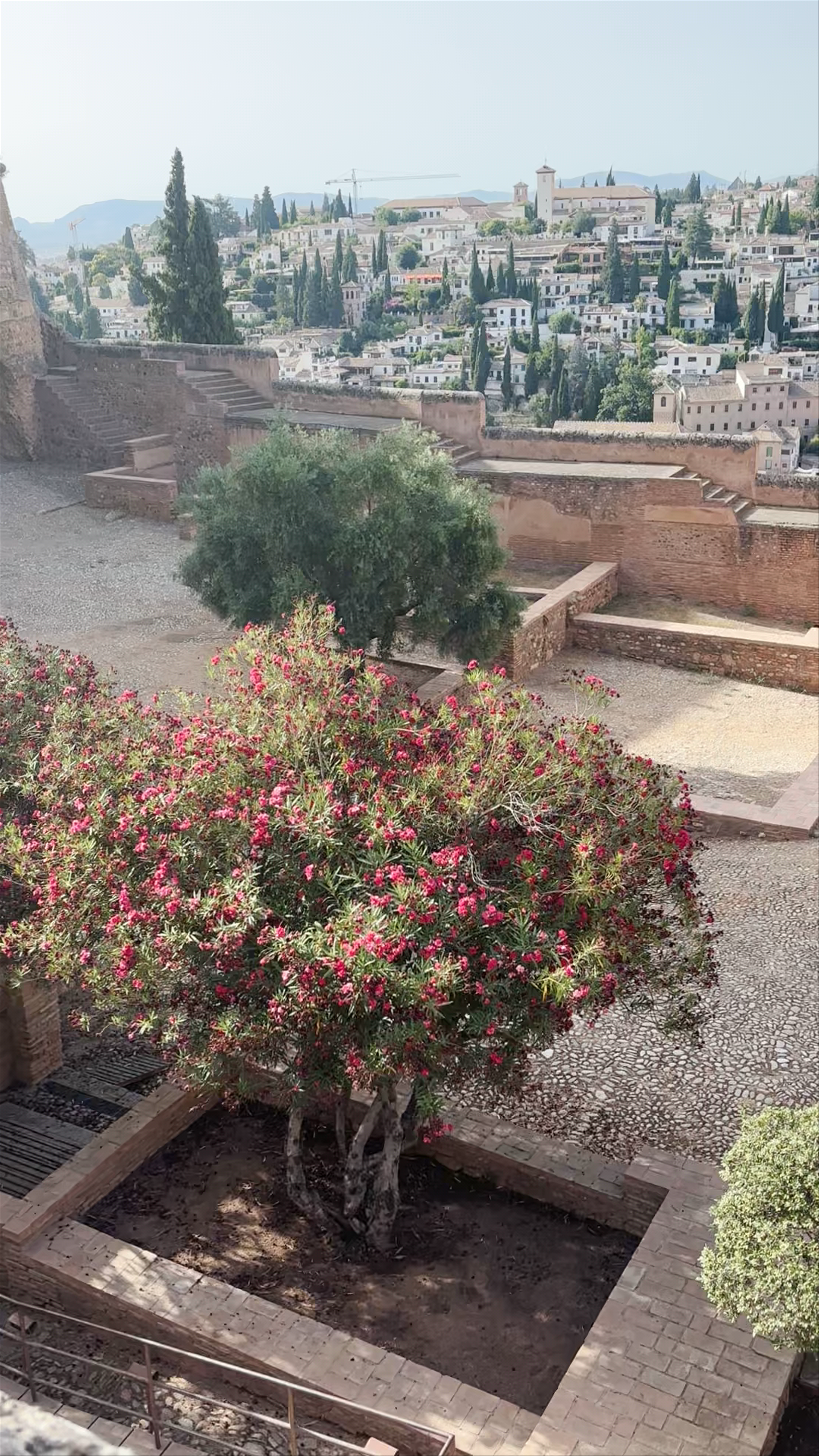 Discovering the Timeless Beauty of Alhambra in Granada