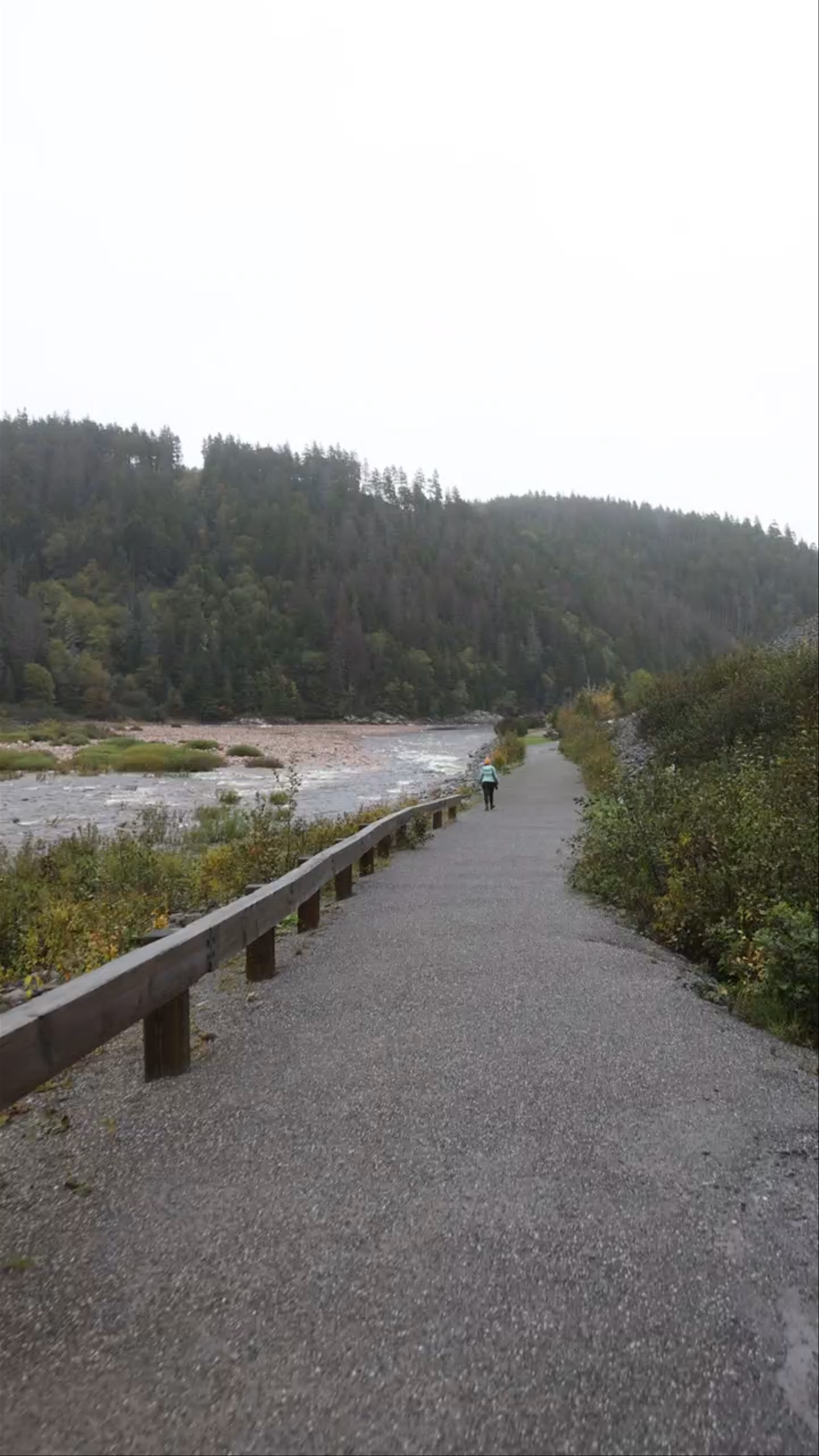 Big Salmon River Suspension Bridge
