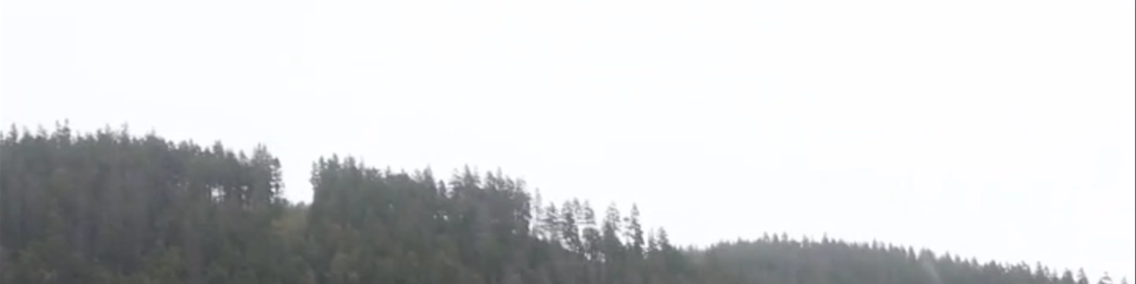 Big Salmon River Suspension Bridge