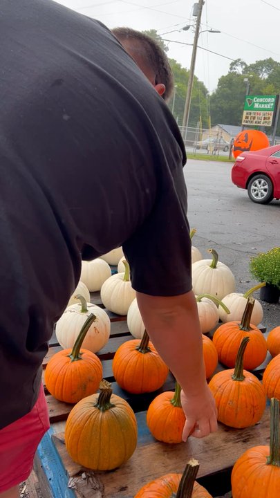 Concord Market - Nurseries & Gardening Near Me - Anderson, South Carolina