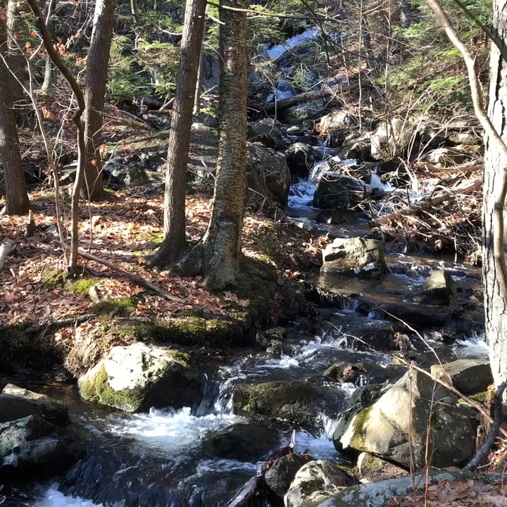 Mount Tom State Reservation - Hiking Near Me - Holyoke, Massachusetts