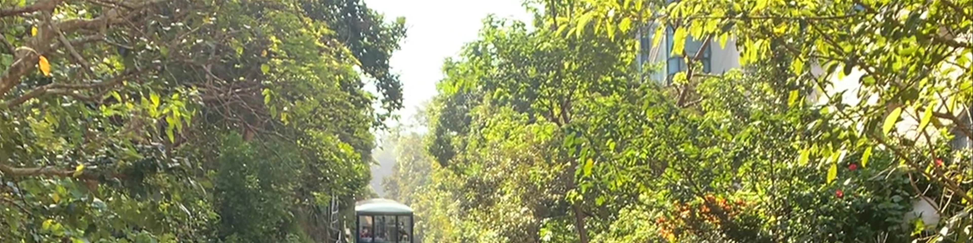 The Peak Tram