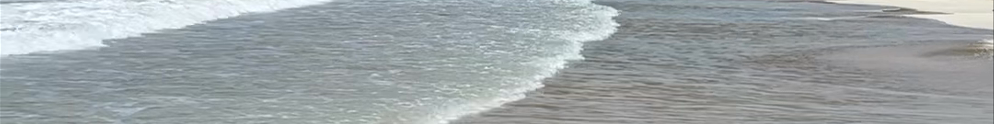 Tours & experiences in Culebra
