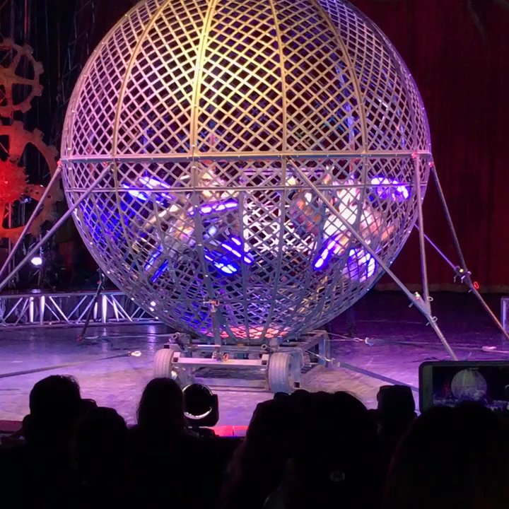 CIRCUS VARGAS - Performing Arts Near Me - Irvine, California