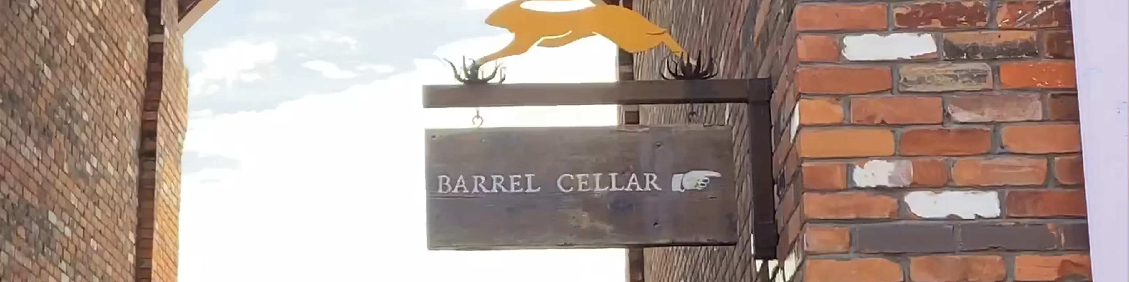Wine Tasting at The Hare Wine Co.