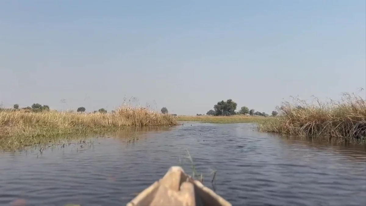 Gliding home through the channels at sunset, by mokoro