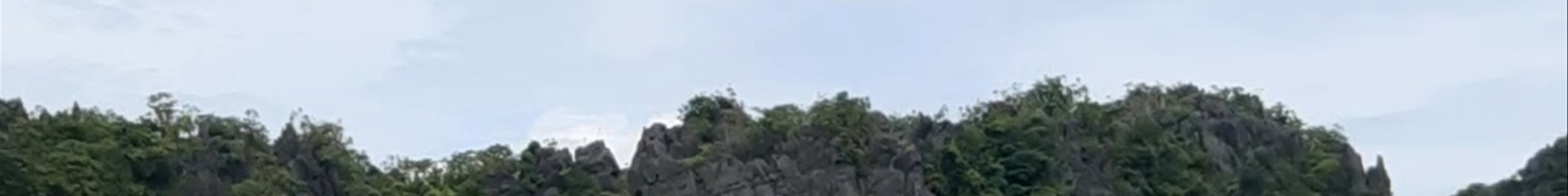 Tours & experiences in El Nido